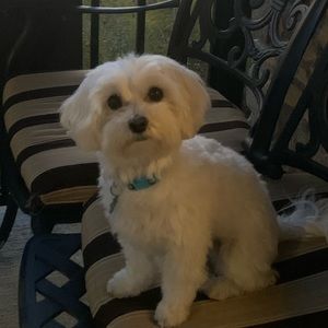 Meet your Posher, Soula